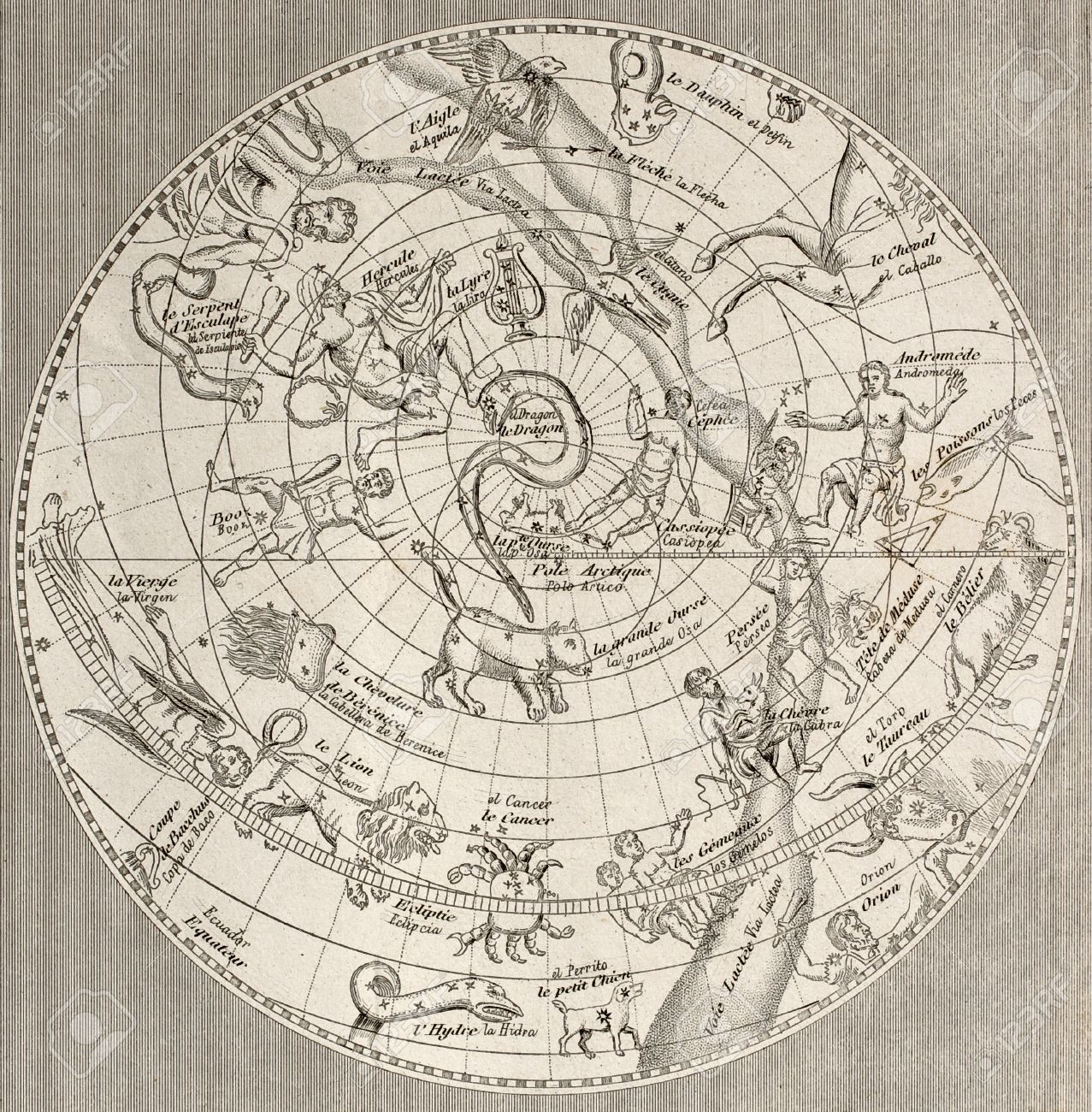 アンティーク、天文、天体、星座早見盤、手彩色銅版画、星図